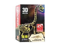 Archéologie du dinosaure 3D-C503 503-2