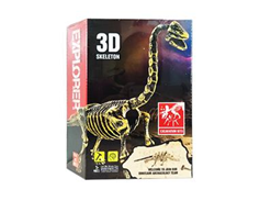 Archéologie du dinosaure 3D-C503