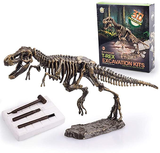 Archéologie du dinosaure 3D-C501