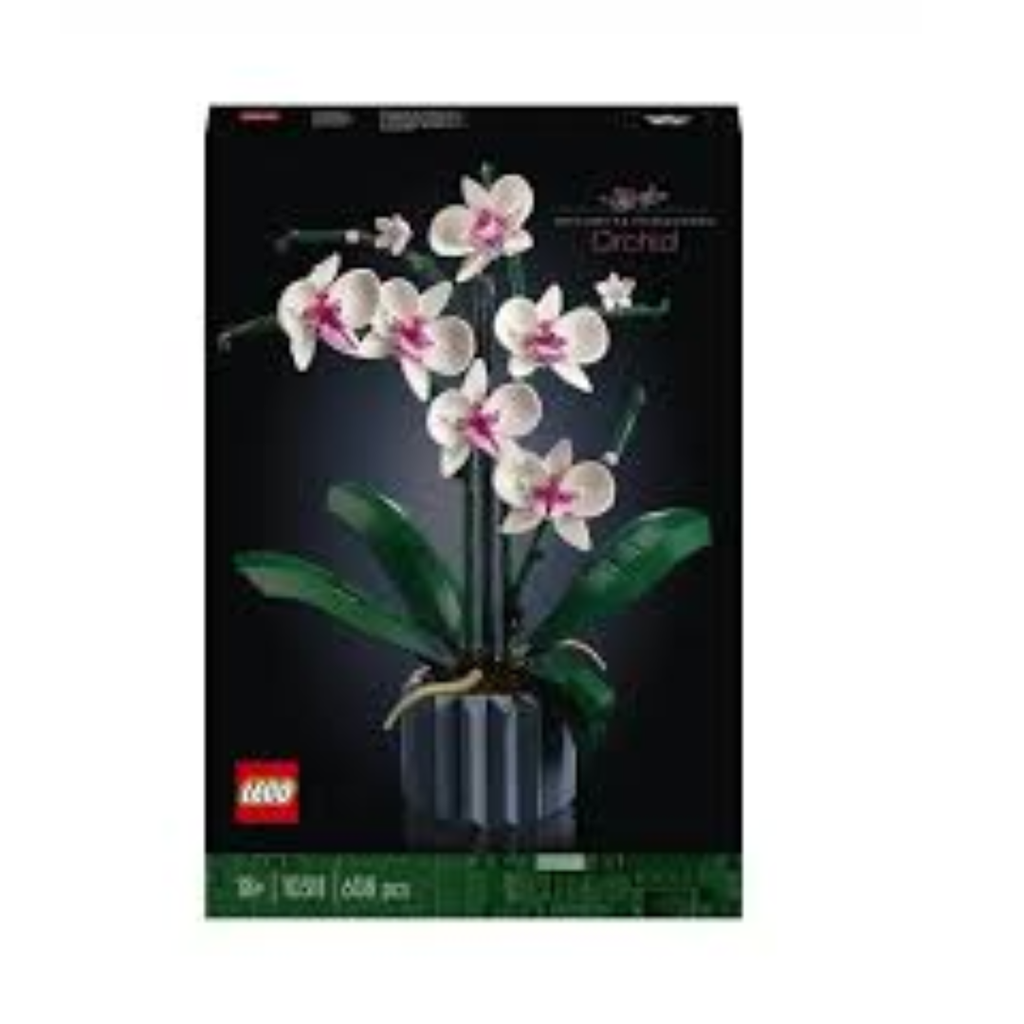  L’ORCHIDÉE