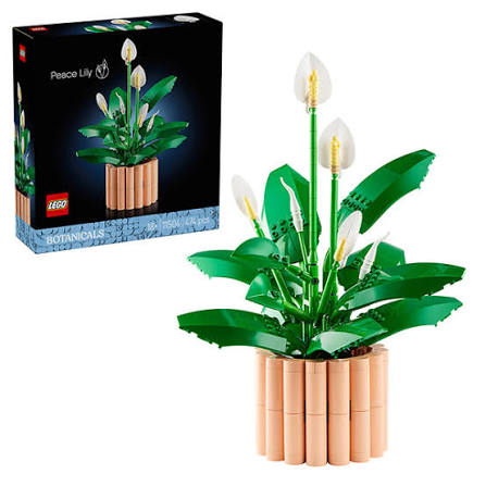  BOTANICALS 11504