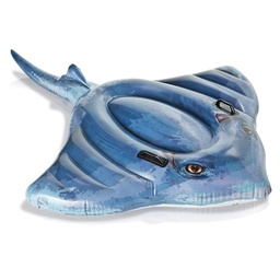 [57550] Intex - Raie matelas de piscine