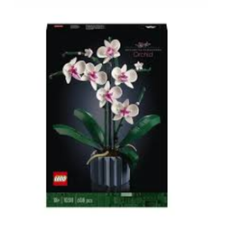 [10311] L’ORCHIDÉE 10311