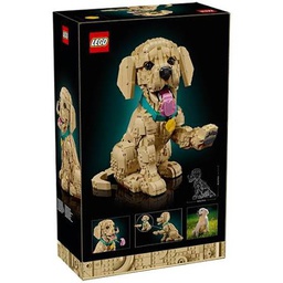 [11384] LEGO Icons 11384 Chiot Golden Retriever